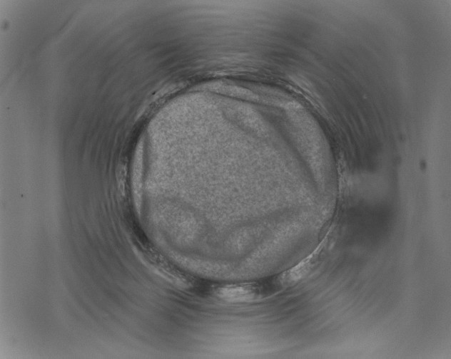 X0000073730171200608241306