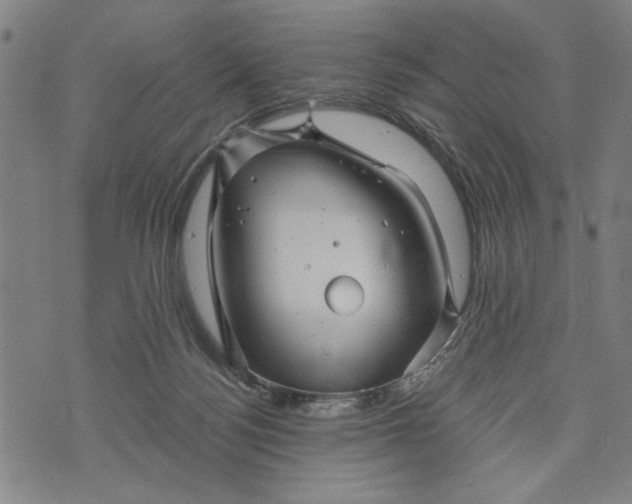 X0000073730172200608241306