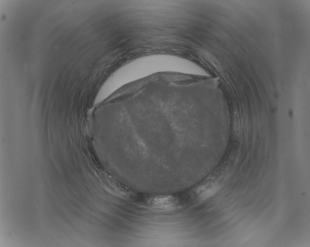 X0000073730173200608241306