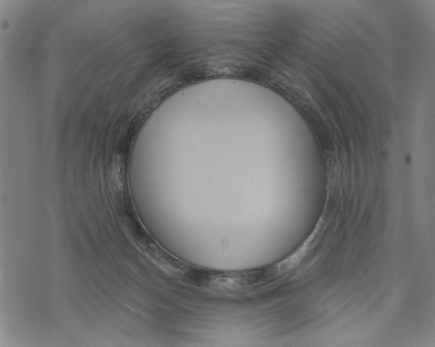 X0000073730174200608241306