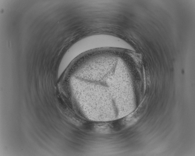 X0000073730175200608241306