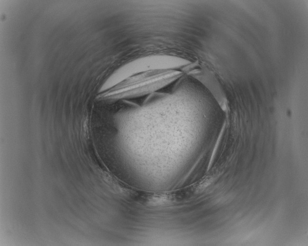 X0000073730177200608241306