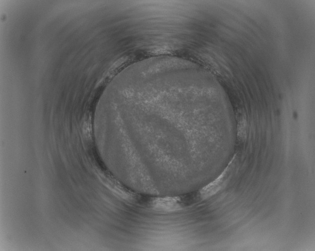 X0000073730179200608241306