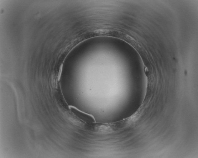 X0000073730180200608241306