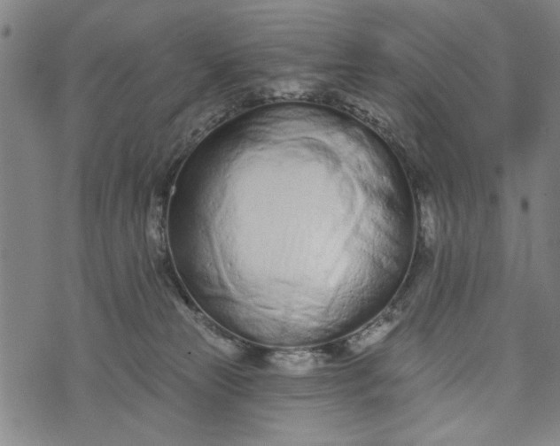 X0000073730181200608241306