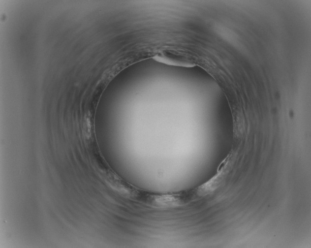 X0000073730183200608241306