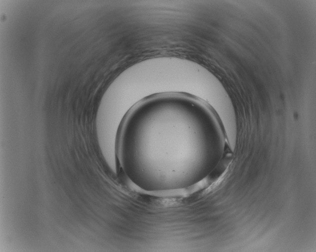 X0000073730184200608241306