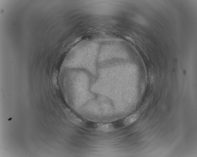 X0000073730185200608241306