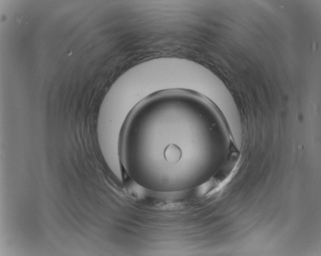 X0000073730186200608241306