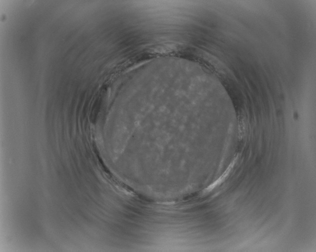 X0000073730187200608241306