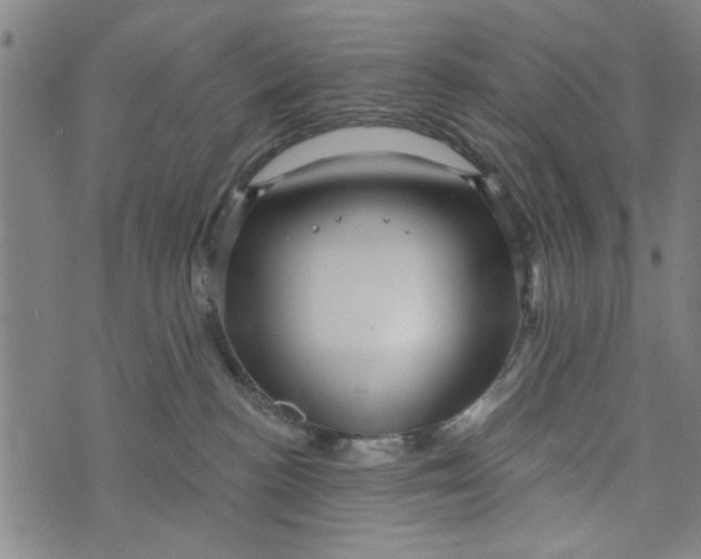 X0000073730188200608241306