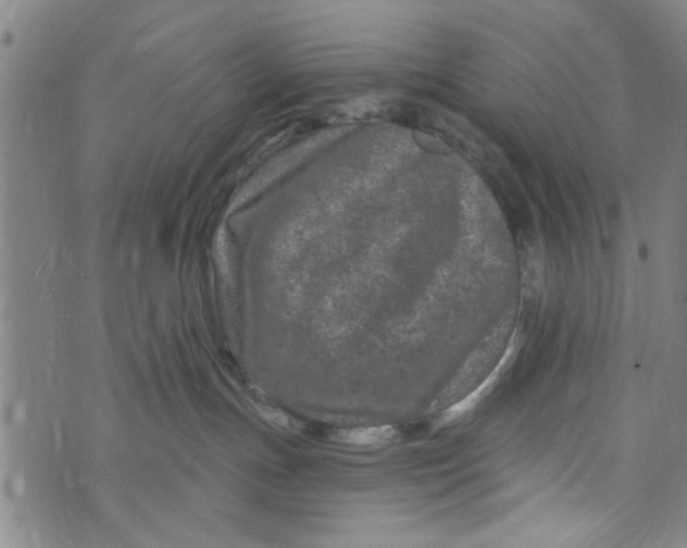 X0000073730191200608241306