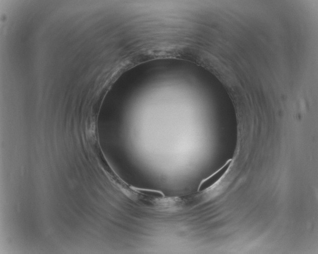 X0000073730192200608241306