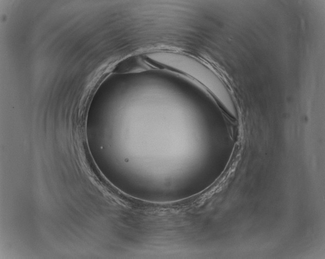 X0000073730193200608241305