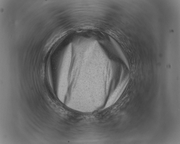 X0000073730194200608241305