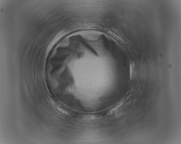 X0000073730195200608241305