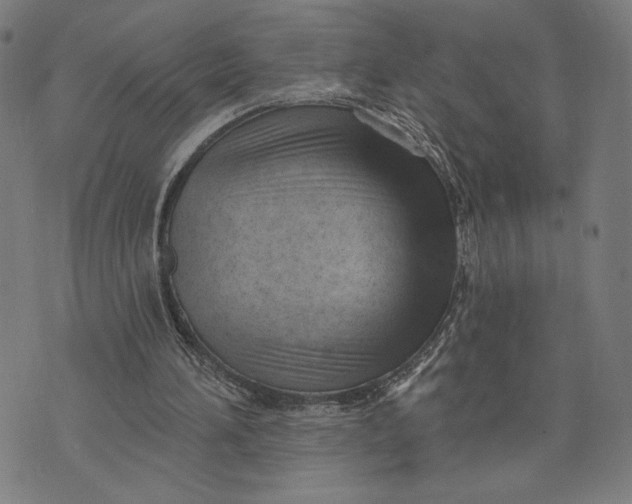 X0000073730196200608241305