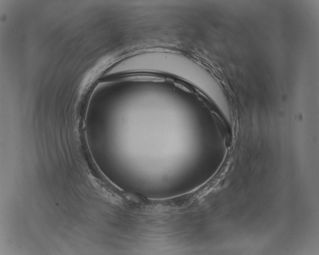 X0000073730197200608241305