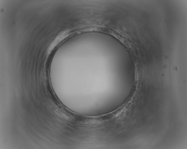 X0000073730198200608241305