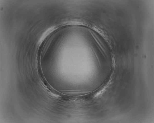 X0000073730199200608241305