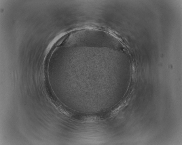 X0000073730200200608241305