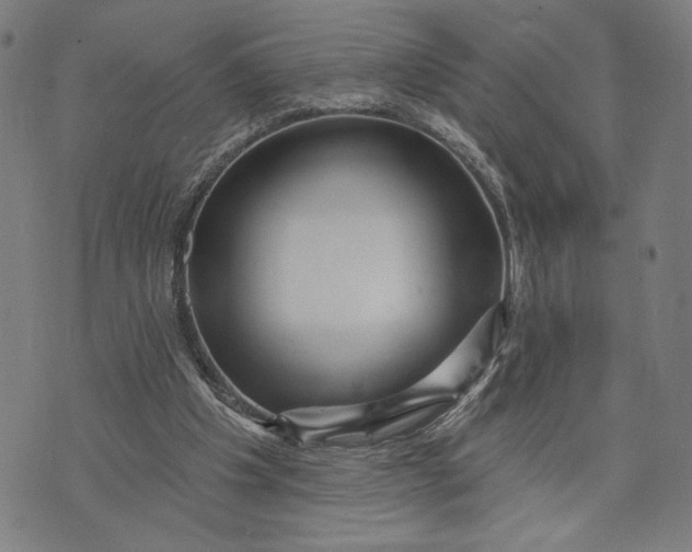 X0000073730201200608241305