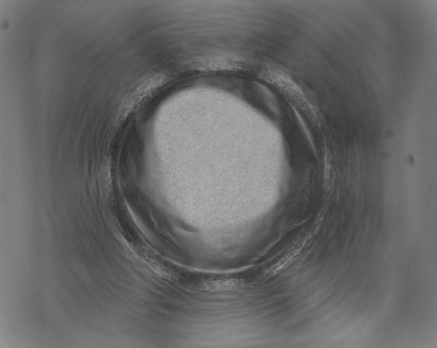 X0000073730202200608241305