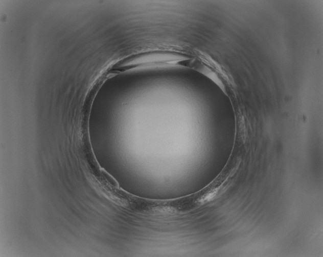 X0000073730203200608241305