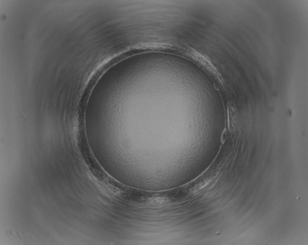 X0000073730204200608241305