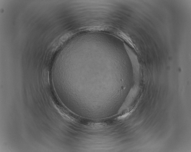 X0000073730205200608241305