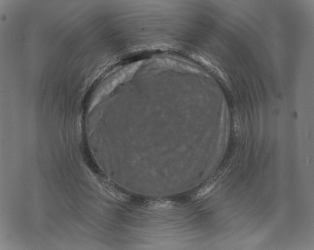 X0000073730206200608241305