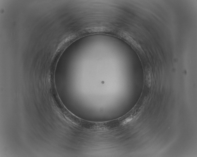 X0000073730207200608241305