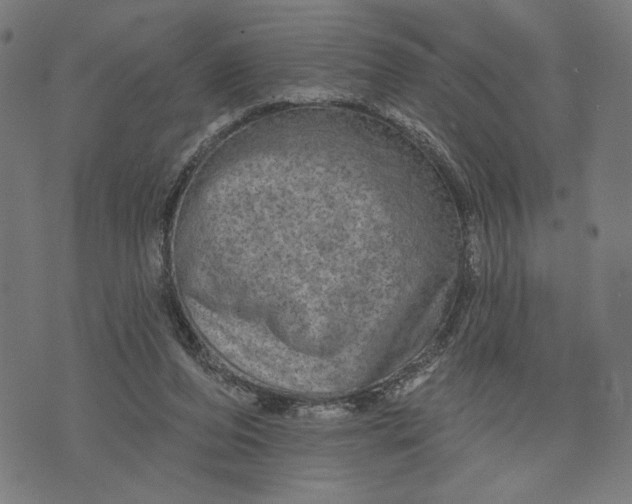 X0000073730208200608241305