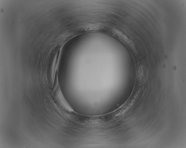 X0000073730209200608241305