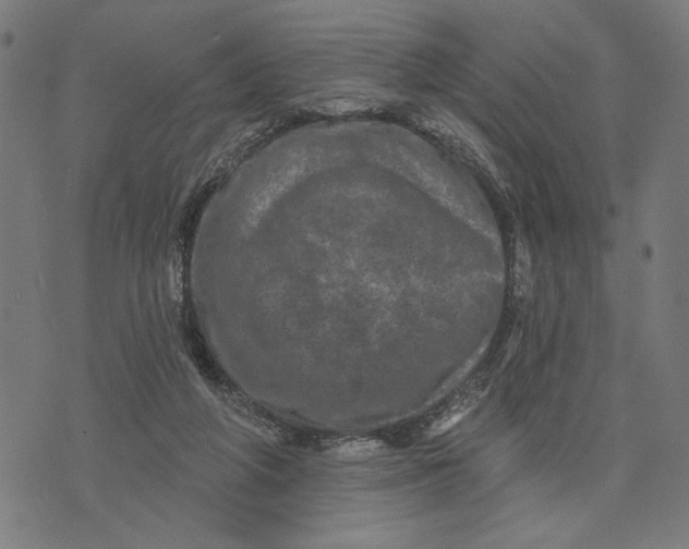 X0000073730210200608241305