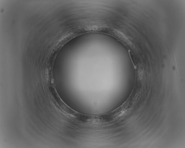 X0000073730211200608241305