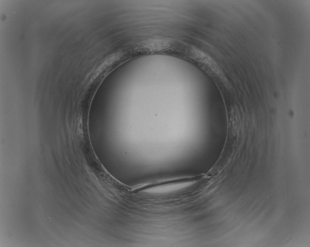 X0000073730212200608241305