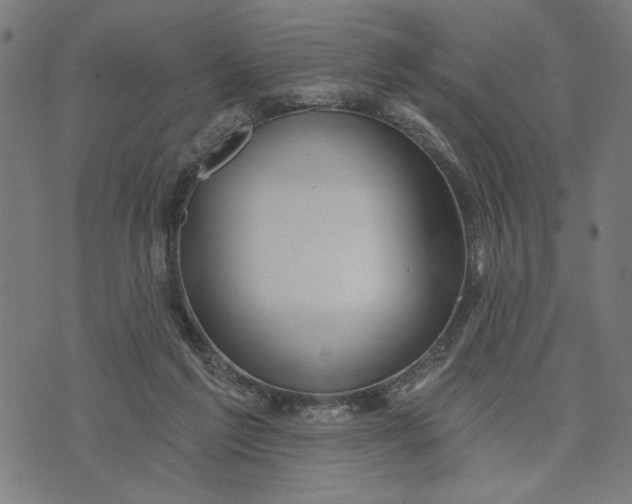 X0000073730213200608241305