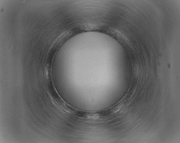 X0000073730214200608241305