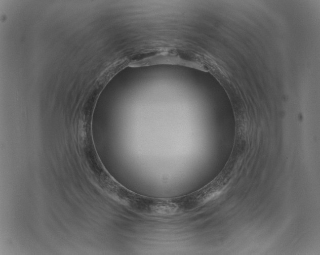 X0000073730215200608241305