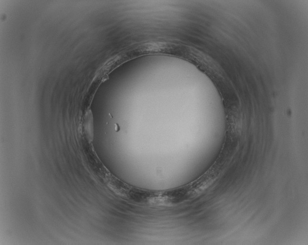 X0000073730216200608241305