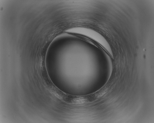 X0000073730219200608241305