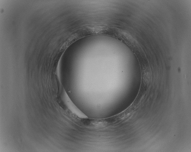 X0000073730221200608241305