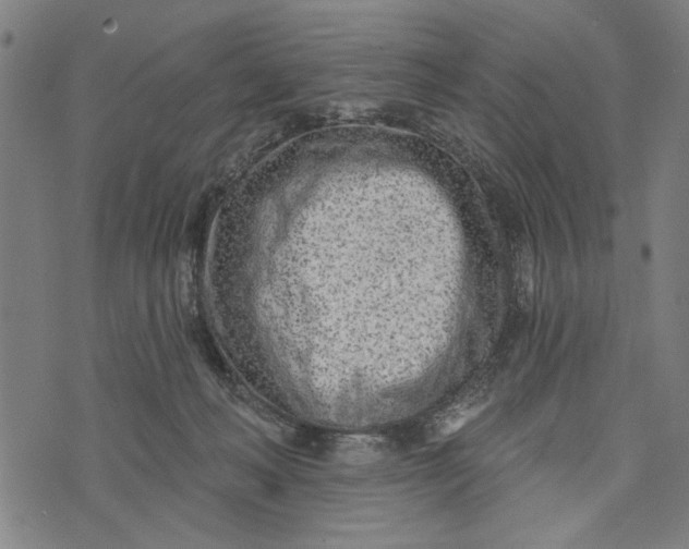 X0000073730222200608241305