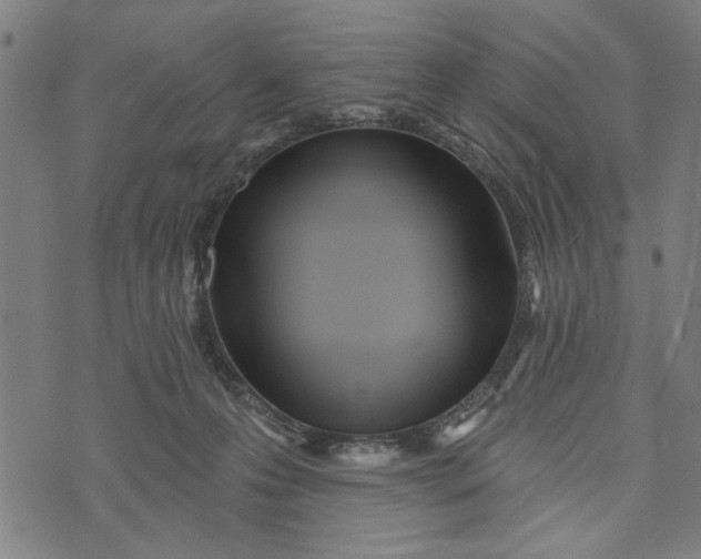 X0000073730223200608241305