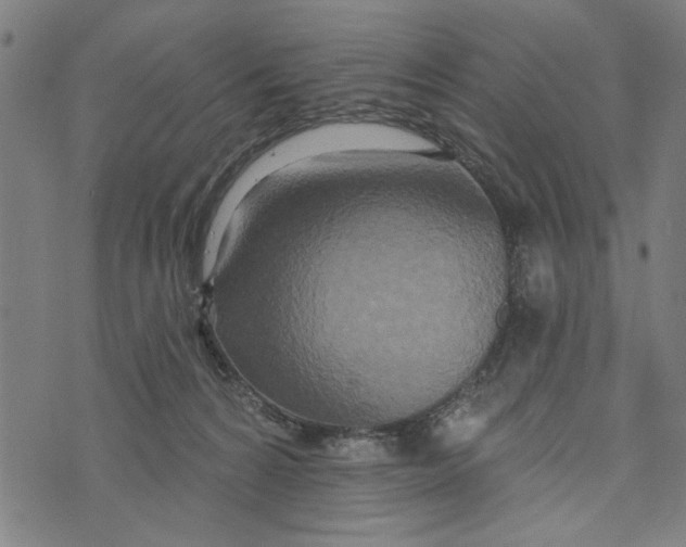 X0000073730224200608241305