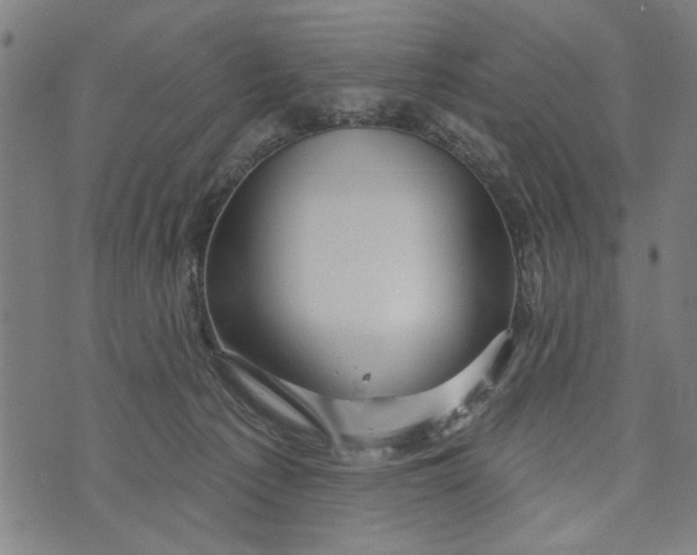 X0000073730225200608241305