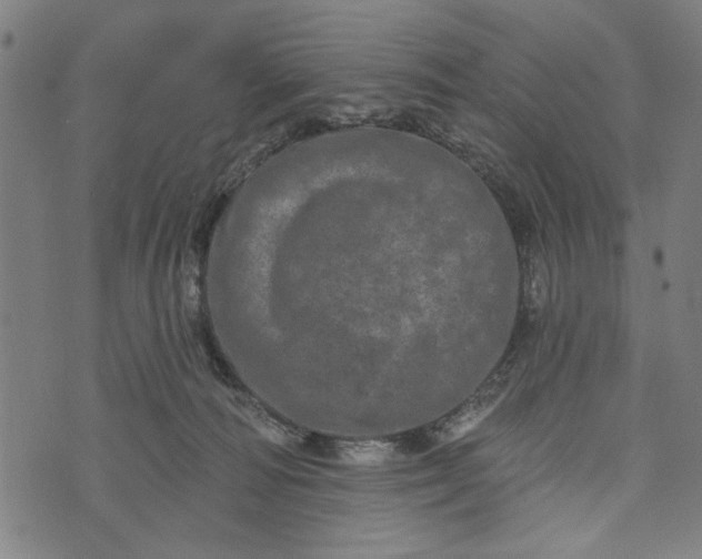 X0000073730226200608241305