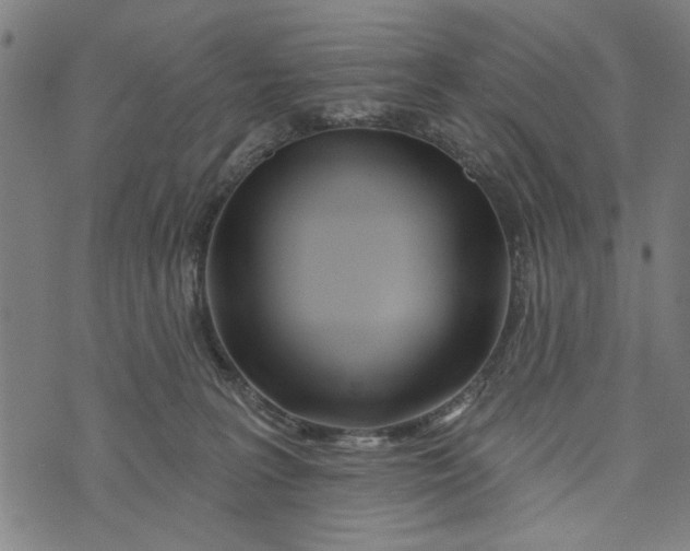 X0000073730227200608241305