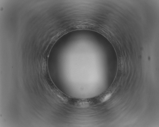 X0000073730228200608241305